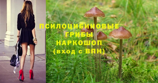 спайс Алексеевка
