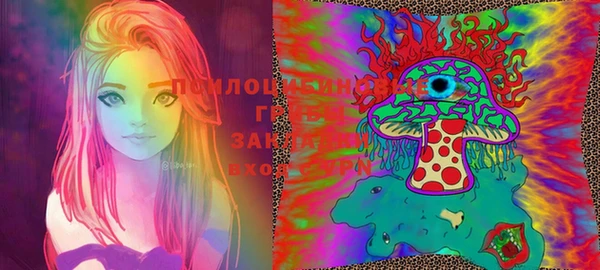 PSILOCYBIN Нефтегорск