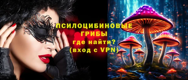 твердый Алзамай