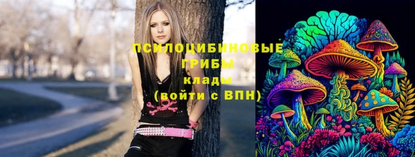 твердый Алзамай
