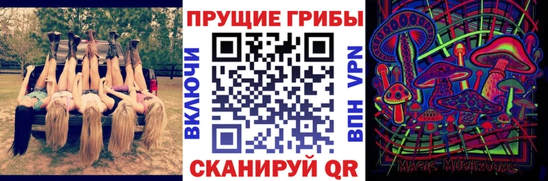 сайты даркнета формула  Спасск  Псилоцибиновые грибы GOLDEN TEACHER  купить   кракен зеркало 